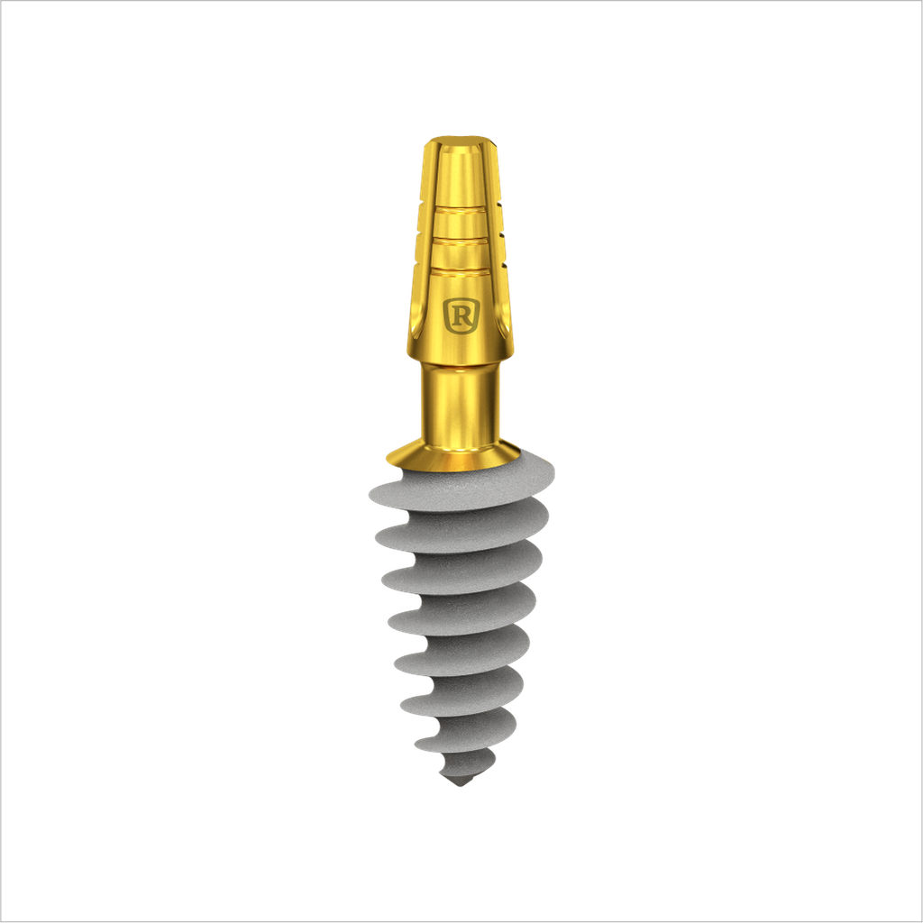 Dental Implant, ROOTT C, D 6.5 mm, L 12 mm.