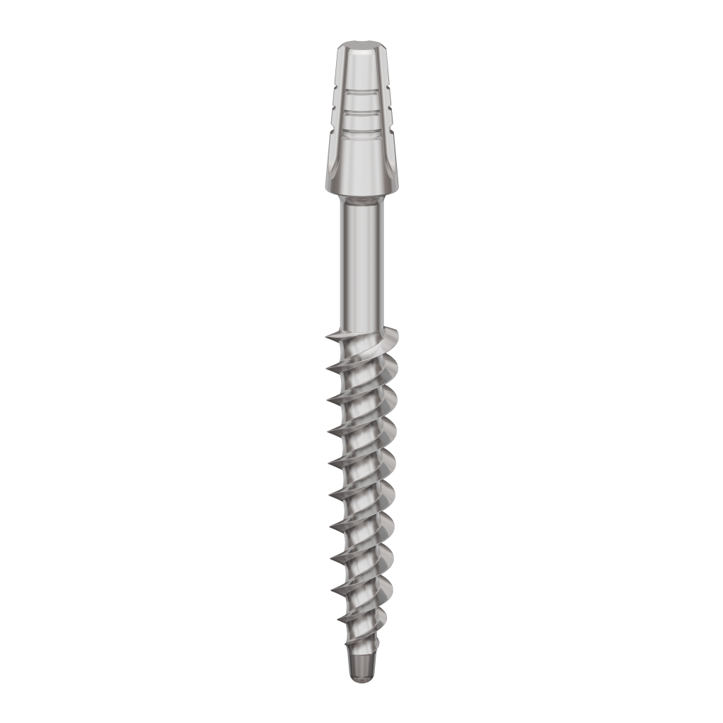 Dental Implant, ROOTT B, D 3.5 mm, L 24 mm.