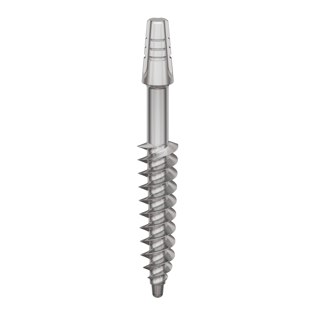 Dental Implant, ROOTT B, D 4.5 mm, L 24 mm.