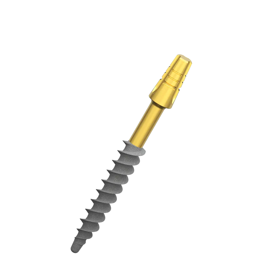 Dental Implant, ROOTT BS, D 3.5 mm, L 24 mm.