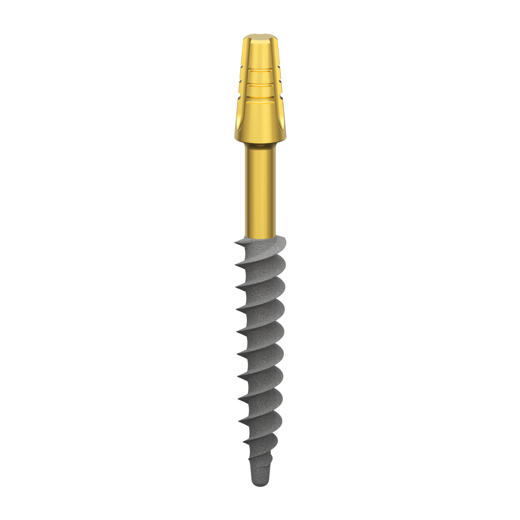 Dental Implant, ROOTT BS, D 3.5 mm, L 24 mm.