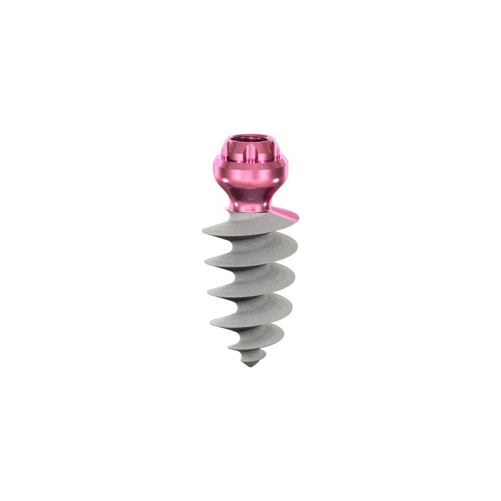 Dental Implant, ROOTT M, D 6.0 mm, L 10 mm.