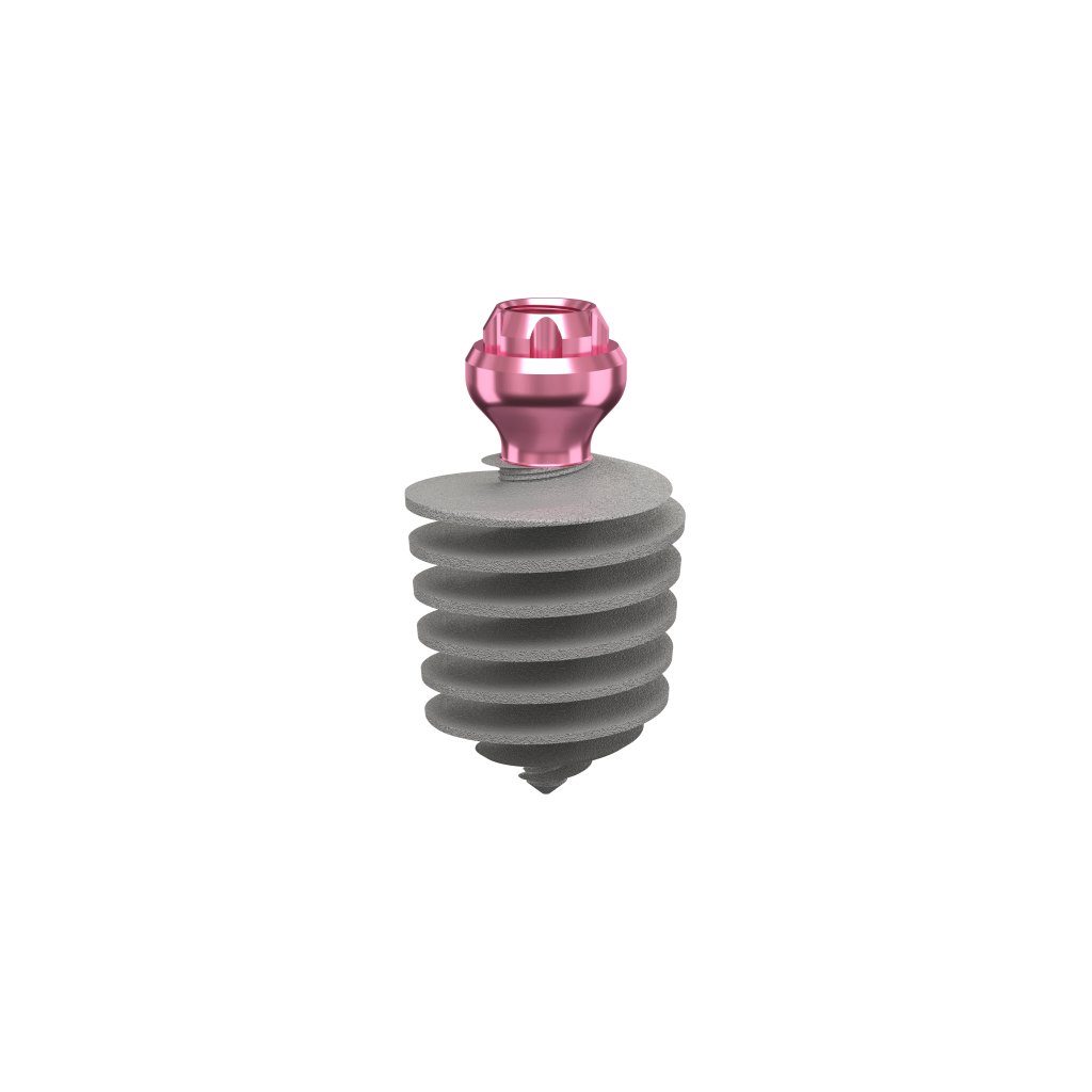 Dental Implant, ROOTT M, D 8.0 mm, L 10 mm.