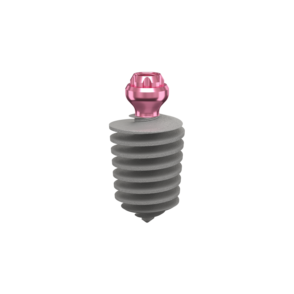 Dental Implant, ROOTT M, D 8.0 mm, L 12 mm.