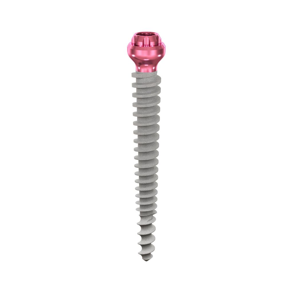 Dental Implant, ROOTT P, D 3.5 mm, L 24 mm.