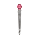 Dental Implant, ROOTT P, D 3.5 mm, L 24 mm.