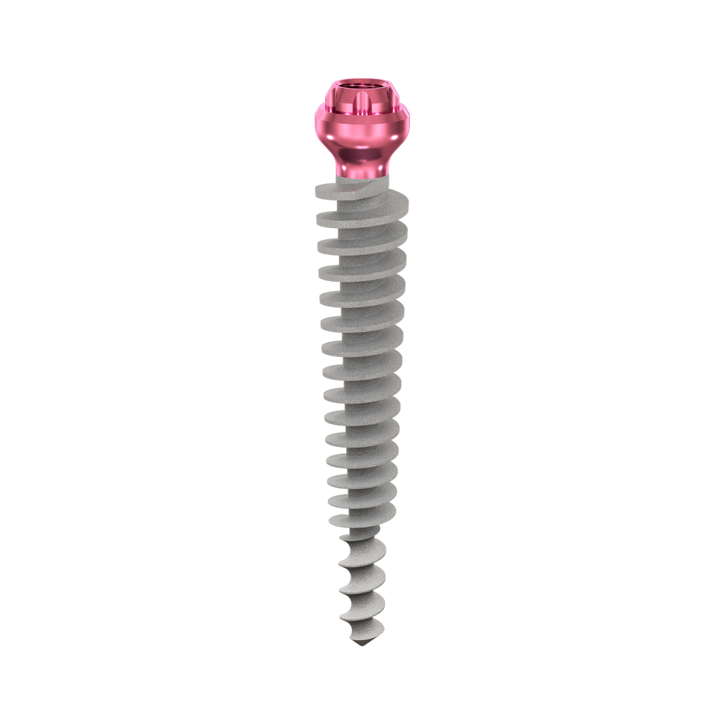 Dental Implant, ROOTT P, D 4.5 mm, L 24 mm.