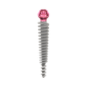 Dental Implant, ROOTT P, D 4.5 mm, L 24 mm.