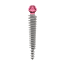 Dental Implant, ROOTT P, D 4.5 mm, L 26 mm.