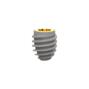 Dental Implant, ROOTT R, D 4.8 mm, L 6 mm.