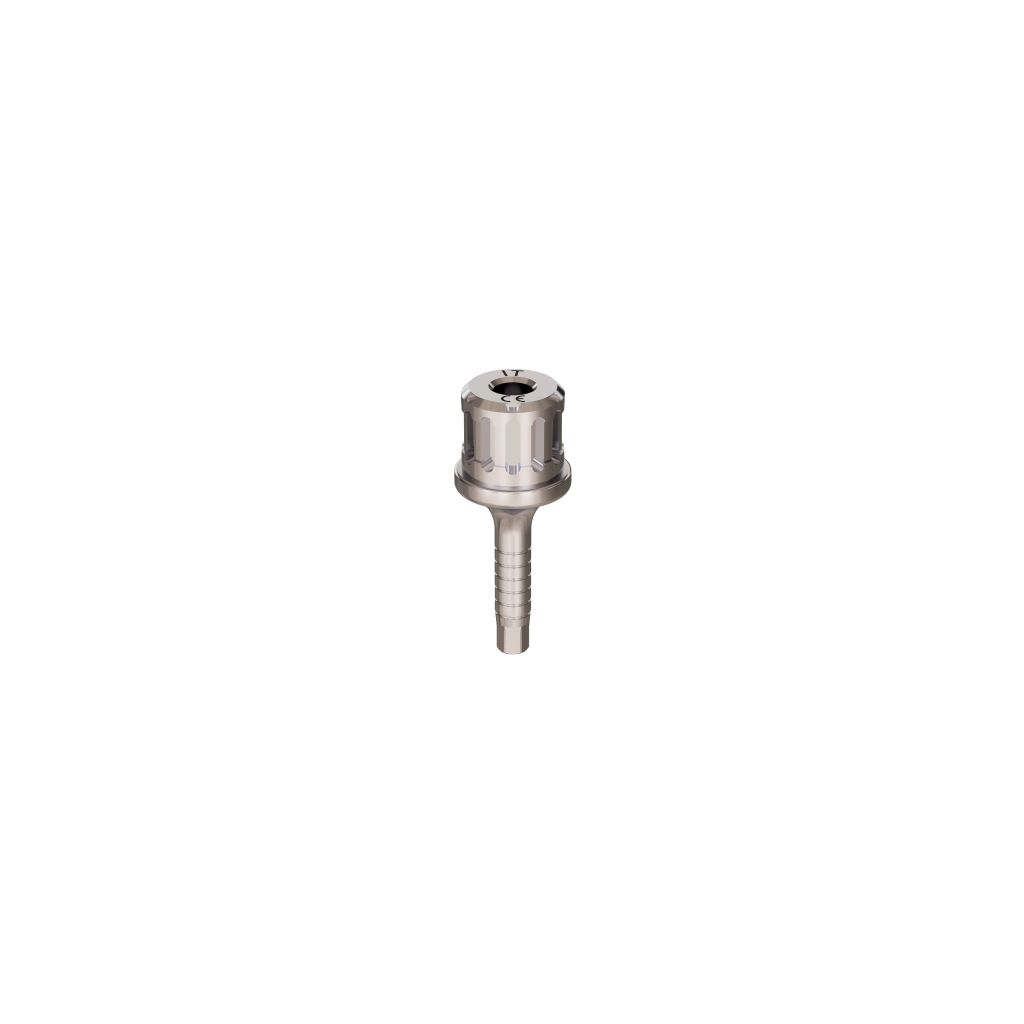Implant driver, ratchet, R.