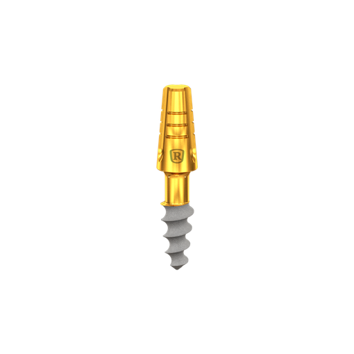 [C3006] Dental Implant, ROOTT C, D 3.0 mm, L 6 mm.