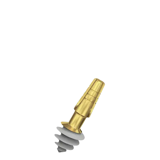 [C6506] Dental Implant, ROOTT C, D 6.5 mm, L 6 mm.