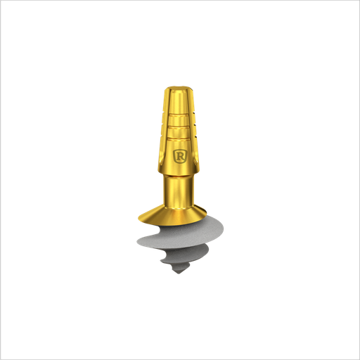 [C8506] Dental Implant, ROOTT C, D 8.5 mm, L 6 mm.