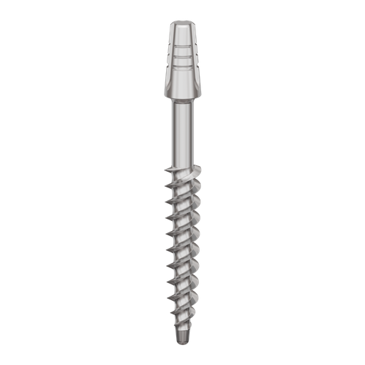 [B3524] Dental Implant, ROOTT B, D 3.5 mm, L 24 mm.