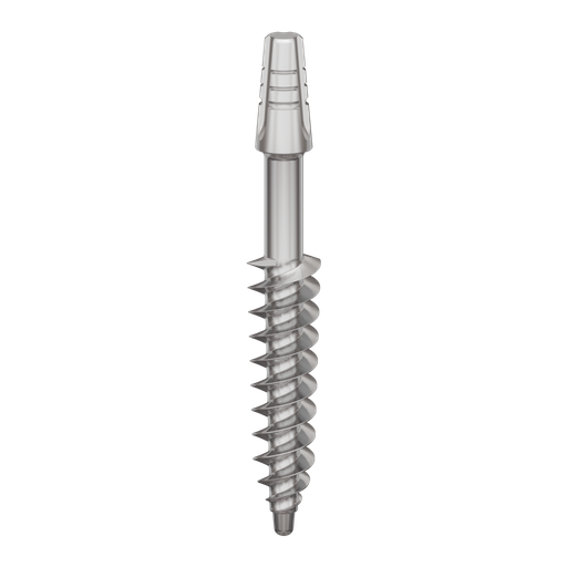 [B4524] Dental Implant, ROOTT B, D 4.5 mm, L 24 mm.