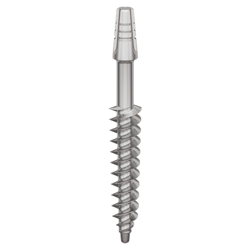 [B4526] Dental Implant, ROOTT B, D 4.5 mm, L 26 mm.