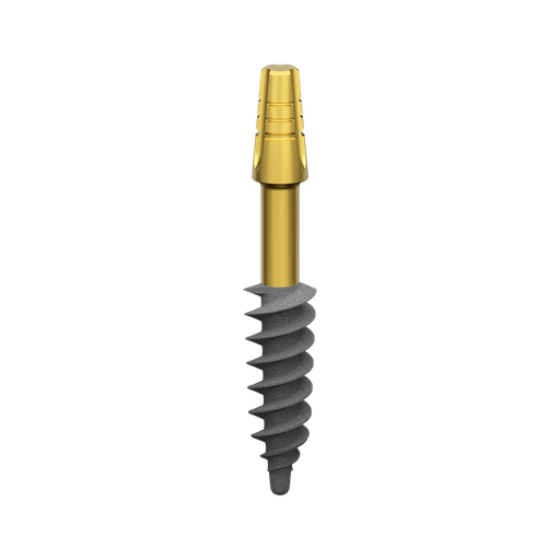 [B4520ss] Dental Implant, ROOTT BS, D 4.5 mm, L 20 mm.