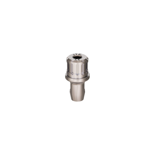 [ITE] Implant driver, ratchet, S, C.