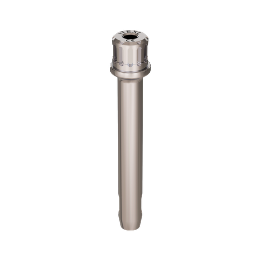 [ITEXL] Implant driver, ratchet, XL, C.