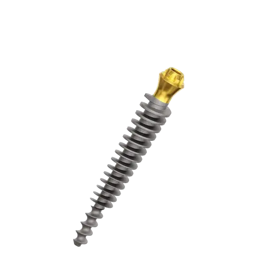 [C4524mp] Dental Implant, ROOTT P, D 4.5 mm, L 24 mm.