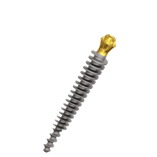 [C4526mp] Dental Implant, ROOTT P, D 4.5 mm, L 26 mm.