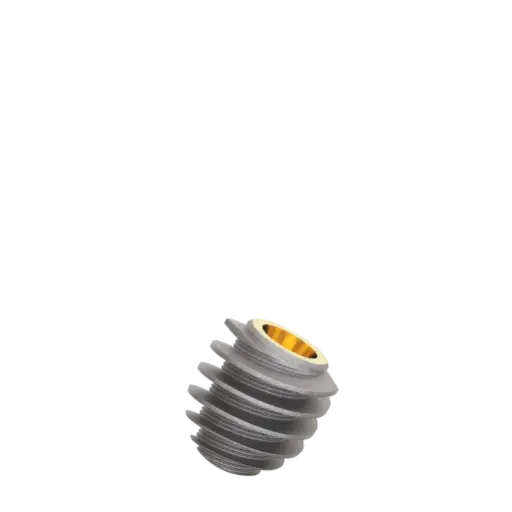 [R5506] Dental Implant, ROOTT R, D 5.5 mm, L 6 mm.