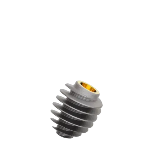 [R6508] Dental Implant, ROOTT R, D 6.5 mm, L 8 mm.