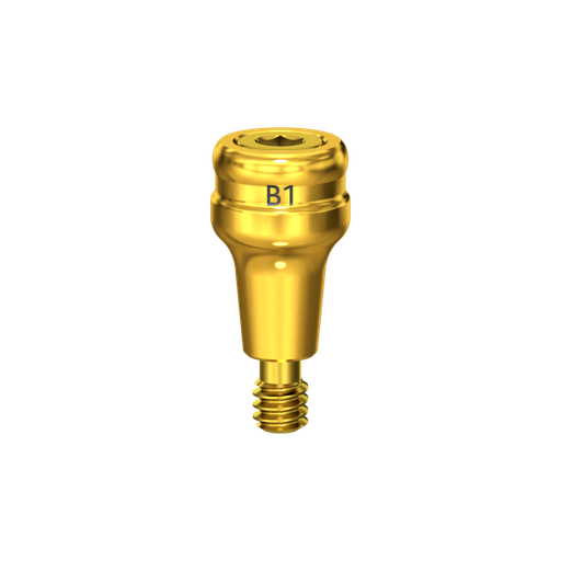 [B1] Abutment, attachment, 1 mm, R.