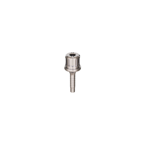 [IT] Implant driver, ratchet, R.