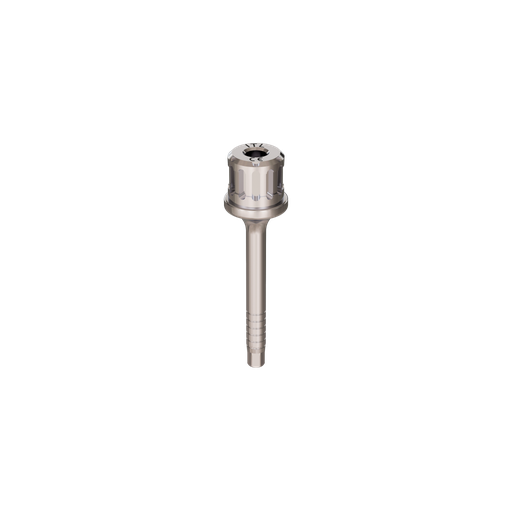 [ITL] Implant driver, ratchet, L, R.